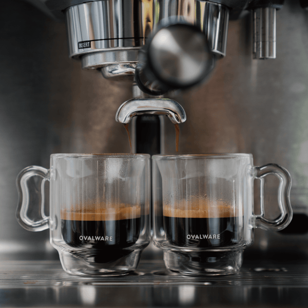 Youngever 3 Pack Espresso Cups, Double Wall Thermo Insulated Espresso Cups,  Glass Coffee Cups, 5 Ounce (Tall)